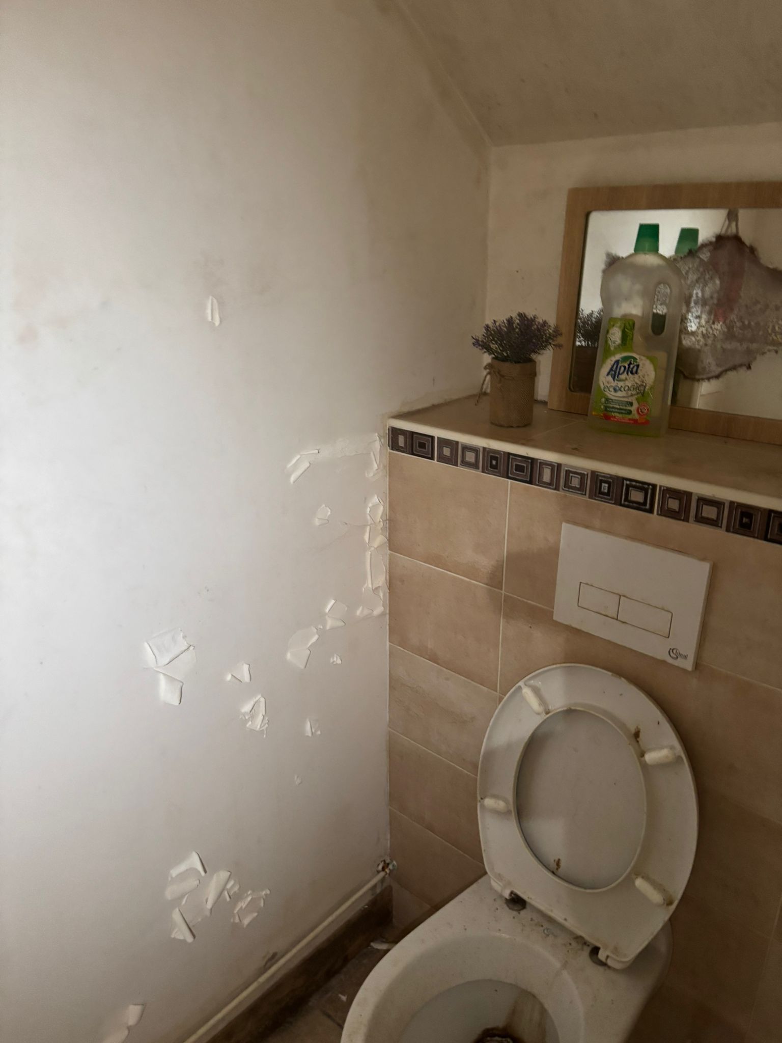Comment prévenir les risques de moisissures après un nettoyage d'incendie IMG 20250901 WA0074